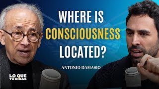 Consciousness, AI, and What Really Happens When You Die (ENGLISH VO) - Antonio Damasio
