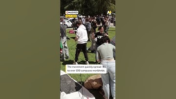 Two Years of Genocide — and the World Still Rises for Gaza