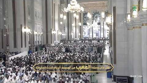 تلاوة هادئة لسورتي العاديات والتكاثر للشيخ #بدر_التركي مغرب الثلاثاء 7 ذو الحجة 1446هـ