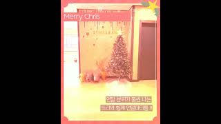 대구근교연말모임 #경북독채펜션 #경북독채숙소 #경북독채풀빌라 #여행 청도타임리스풀빌라