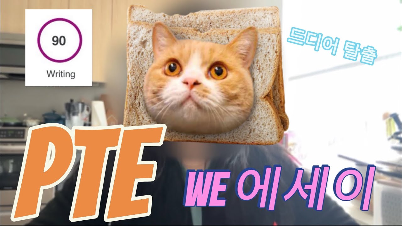 PTE WE 90 가자아아---WE 템플릿?피티이 라이팅편