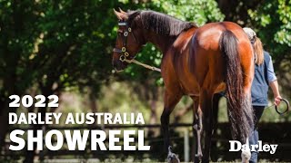 The 2022 Darley Australia Stallion Showreel