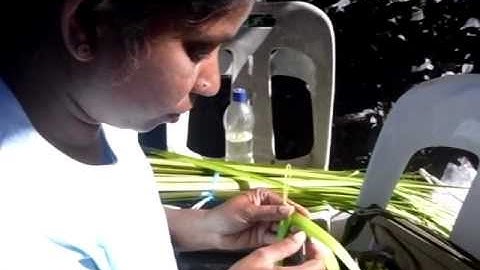 Making Grasshopper from Coconut Leaves