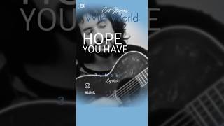 Wild World  Cat Stevens 1971 shorts musik lirik tren viral catstevens 70an wildworld