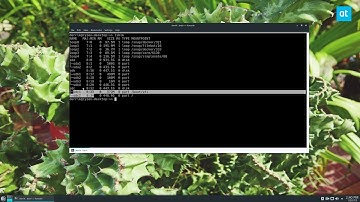 How to find hard drive info on Linux