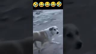 😅 funny vedio#Crush #FunnyMoments #ComedyVideo #TeenComedy #Shorts😂 “