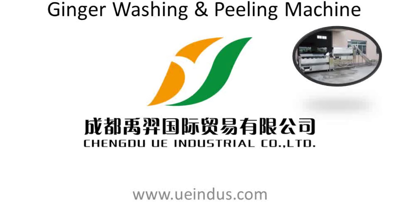 Ginger Washing & Peeling Machine-UE Industrial