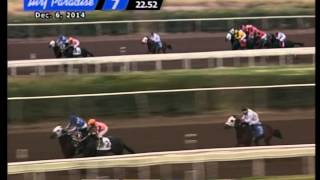 Arizona Bred Featured In 4 Stakes Races At Turf Paradise