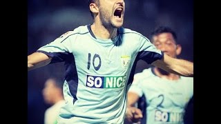 Srdjan Lopicic Highlights 2015