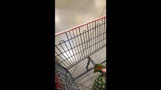 Quick HEB Trip