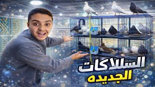 جبت سلاكات جديده للحمام  😄 المكان اتغير 180 درجة ( دعواتكم)  #غاوي_السلاكة 