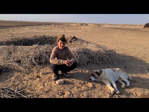 пастух и его верный друг Спартак
