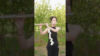 Download Lagu 长笛演奏《未闻花名》Flute Cover: “Secret Base”#未闻花名 #secretbase #flutecover #animemusic MP3 Download Lagu 长笛演奏《未闻花名》Flute Cover: “Secret Base”#未闻花名 #secretbase #flutecover #animemusic MP3