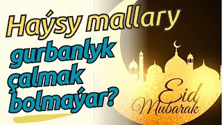 Haýsy Mallary Gurbanlyk Çalmak Bolmaýar? Amanullah Ahun