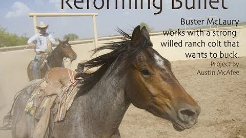 Reforming Bullet