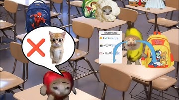 Baby Banana Cat School Cry and Happy Videos Episode 4 😺💛