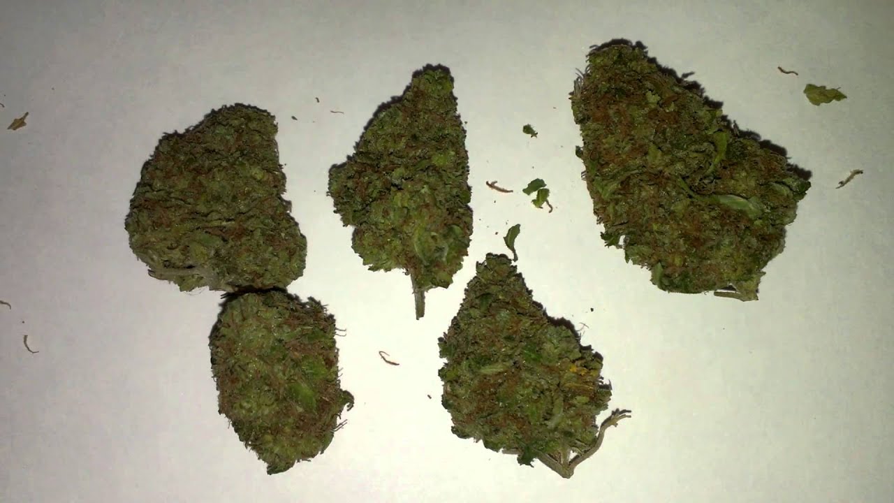 Pineapple Express cannabis strain