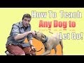 How to Teach ANY DOG to LET GO of a TOY During Fetch!