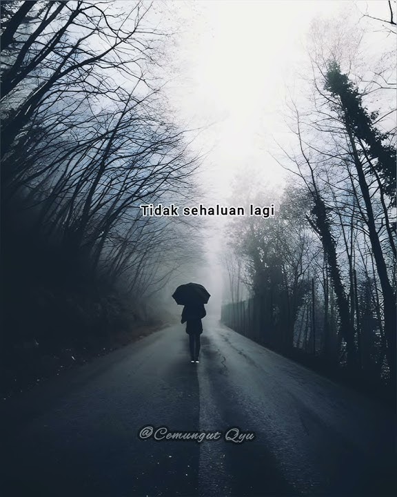 story wa bukan ku tak sudi_arief   #shorts_bukan ku tak sudi  🍂😎