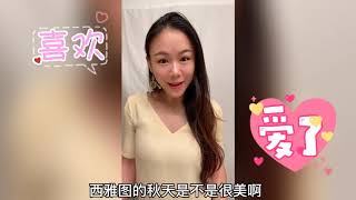 秋风到红叶起！想知道西雅图的秋天是什么样子嘛？西雅图美的不只是春天的樱花哦~让我和大家介绍西雅图标志性3大秋季绝景