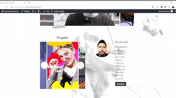 Içerik Yönetim Sistemi (WordPress)