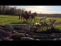 Three draft horse breeds plowing together  draft horse farming 630