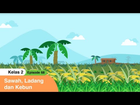 BDR | SD Kelas II | Episode 68 - Sawah, Ladang dan Kebun