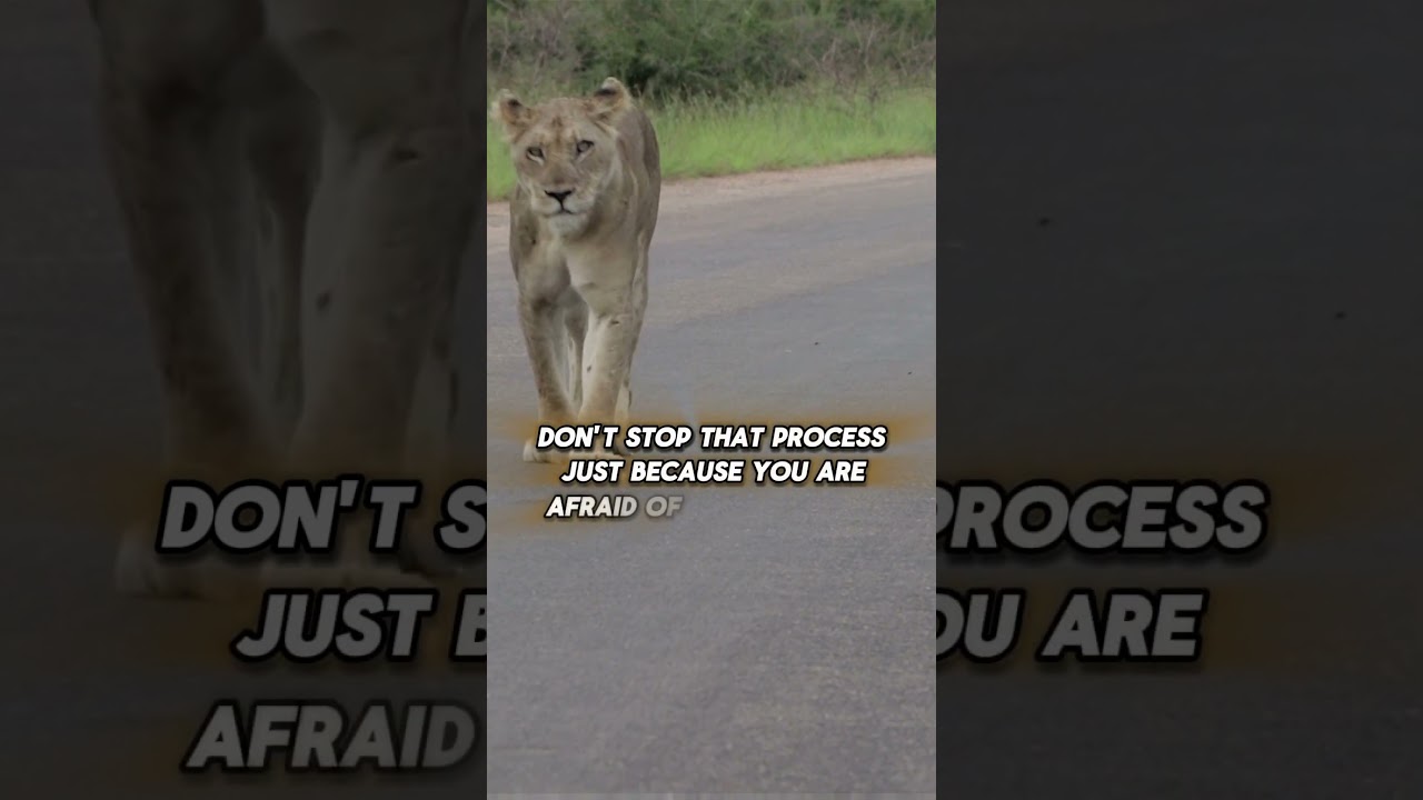 learn to let go when it's time to /