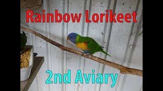 Rainbow Lorikeet Aviary