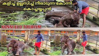 കോന്നി കൊച്ചയ്യപ്പന്റെ നീരാട്ട്  കുസൃതികൾ| konni Elephant Reserve centre | Eco Tourism