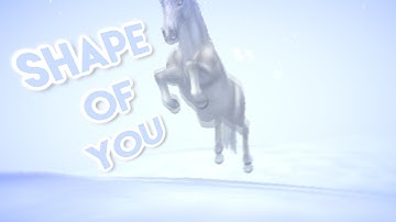 [REUPLOAD] Star Stable -  Shape of you mep part 1
