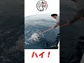 人生初のスーパーライトジギングで釣れたのは? #shorts