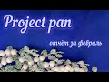 Project pan. Использовать и выбросить за 2021. Отчёт за февраль