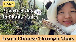 【20mins /HSK3】🐼 A perfect day in Panda Valley 在熊猫谷完美的一天｜Learn Chinese through Vlogs｜Eng Sub & pinyin