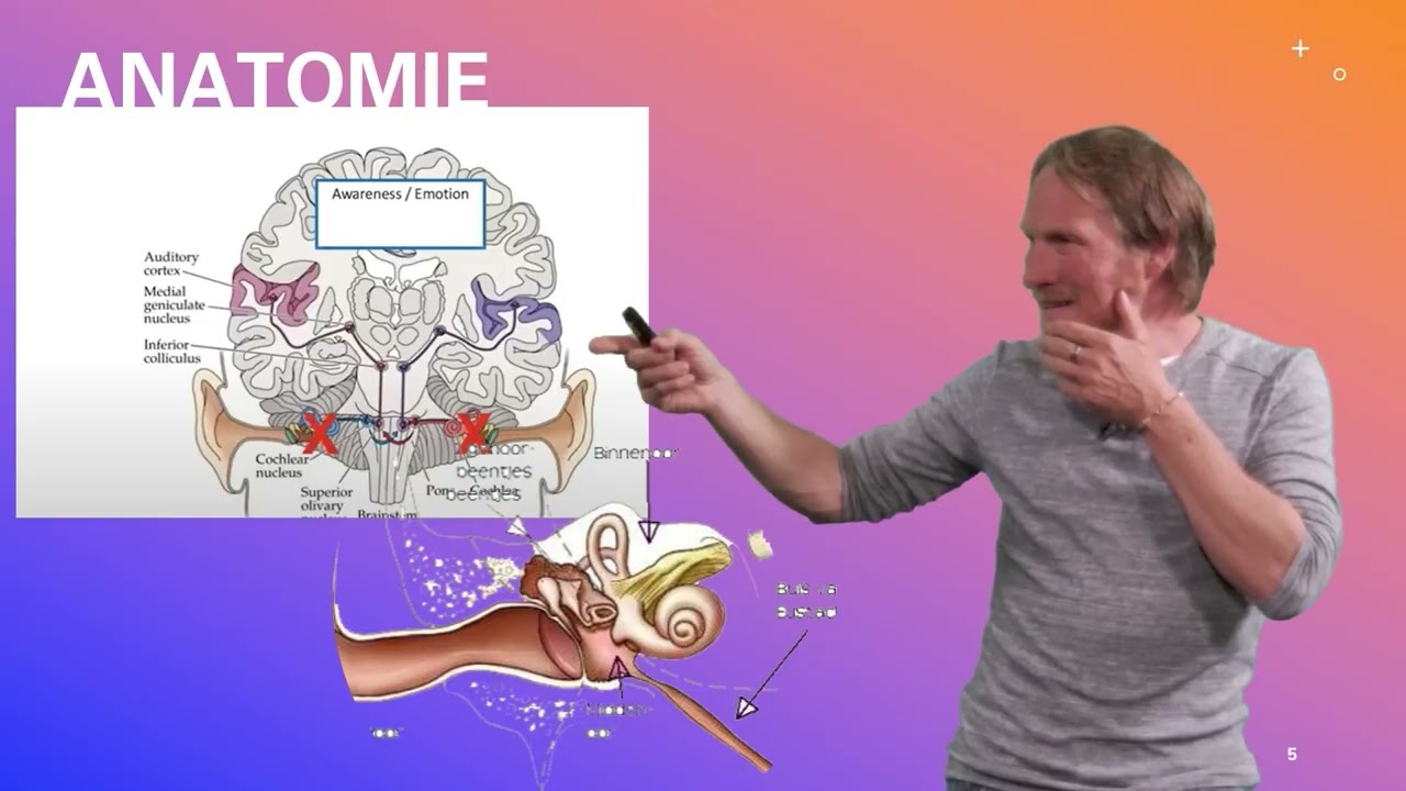 Tinnitus, geen probleem van het oor