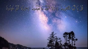 حالات واتس اب مشاري راشد بن العفاسي سورة الكافرون