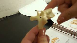 DSCN0082