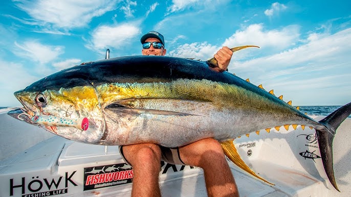 Monster Yellowfin Tuna Under Massive Oil Rig! Catch Clean & Cook