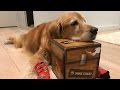 MINECHEST COLD TAIGA + MY MERCH UNBOXING WITH KOPI!!!