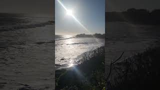 Pacific Coast Highway Pacific Ocean #pacificcoasthighway #shorts