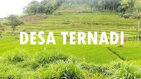 APA SAJA DI DESA WISATA TERNADI KUDUS??