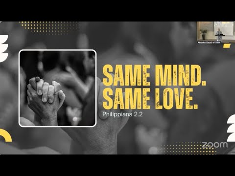 Video preview