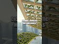Nature’s Hidden Code: Five New Blueprints for a Living Tech