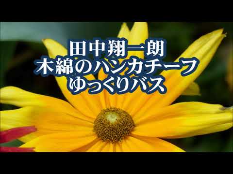 田中翔一朗　木綿のハンカチーフ　ゆっくりバス