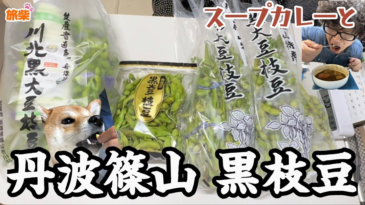 丹波篠山黒枝豆とスープカレー【キャンピングカーで柴犬と行く】