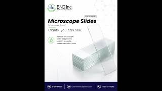 Microscope Slides