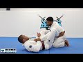 Scary Arm Bar - Andre Galvao