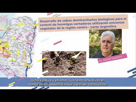 Proyectos de Desarrollo Tecnológico y Social (PDTS)- Costa del Paraná