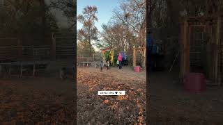 Arrowquip equipment is built to create a safer environment for everyone in the yard