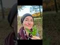 Říjen plný barev a hojnosti 🍁🧡🍂  #darypodzimu #podzimnihojnost #sberkorenu #sirupyzbylin